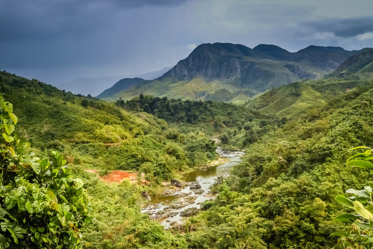 Magnificent Madagascar 2024 Tours Direct   Antalaha Trail  Madagascar 1280x853 